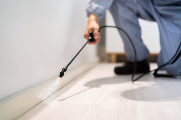 Licensed Pest Control service in Rosenhayn, NJ - Show Me Pest Control