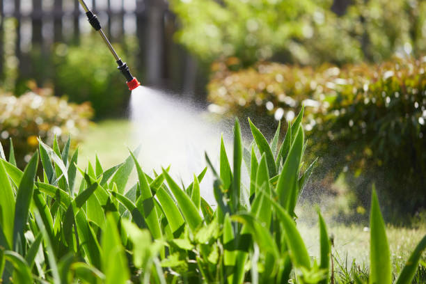 24/7 Emergency Mosquito Control experts in Rosenhayn, NJ